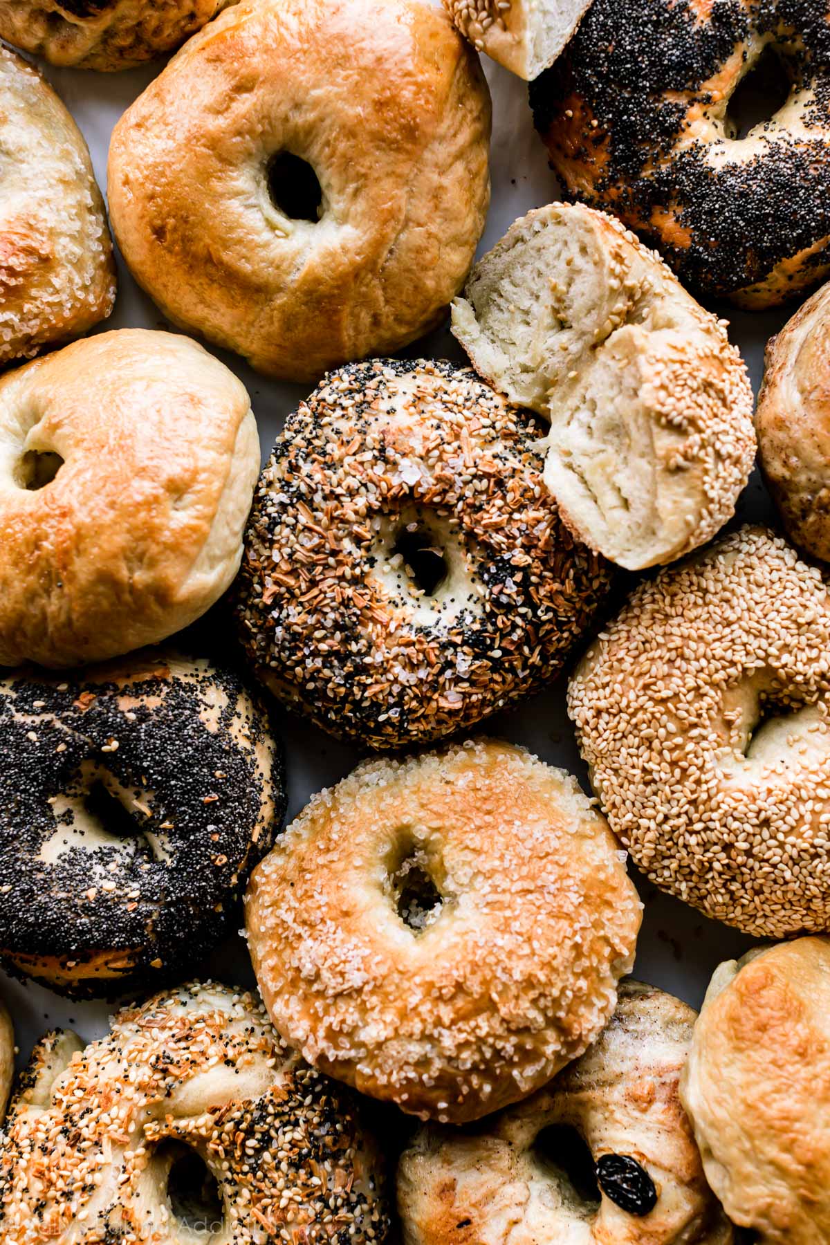 Everything Bagel