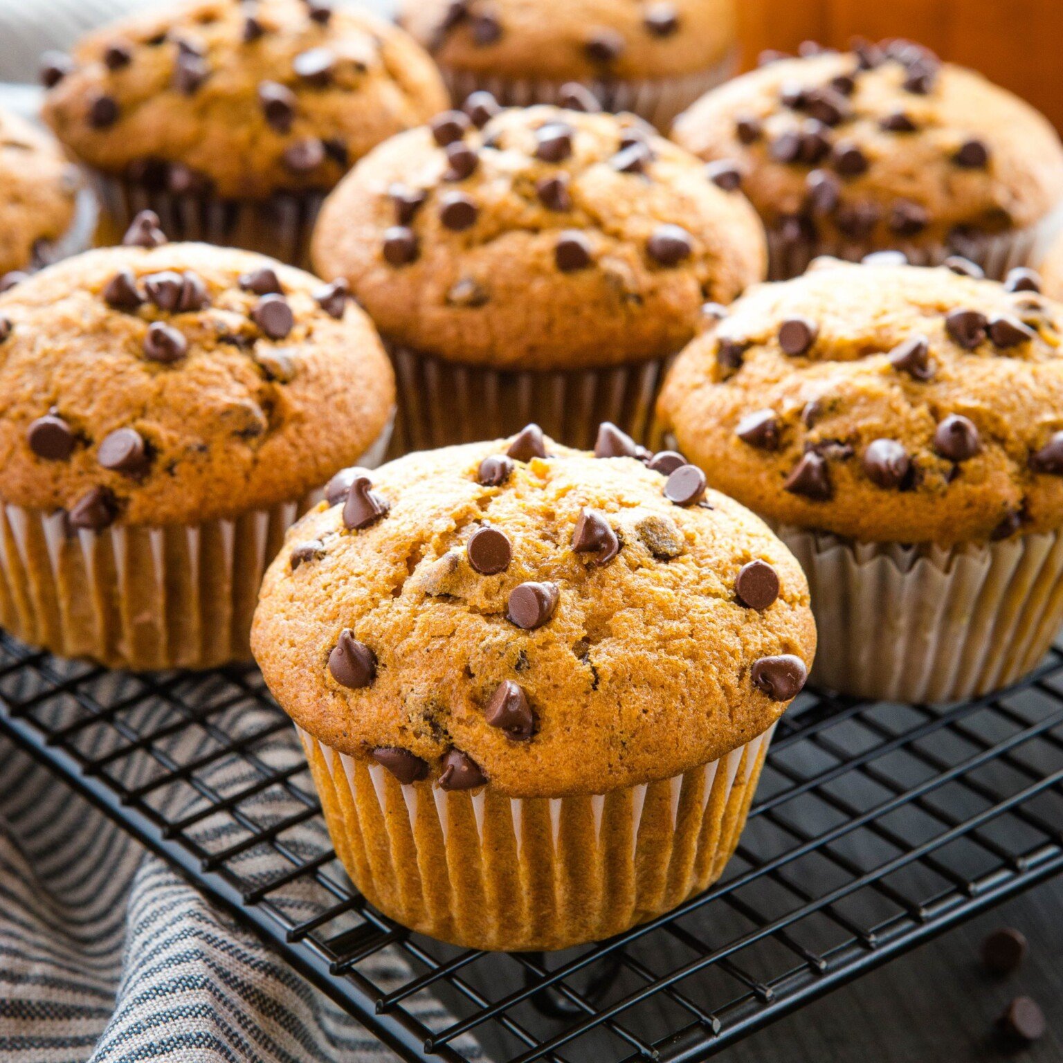 Chocolate Chip Muffins